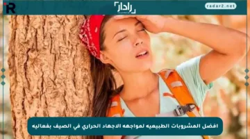 أفضل المشروبات الطبيعية لمواجهة الإجهاد الحراري في الصيف بفعالية